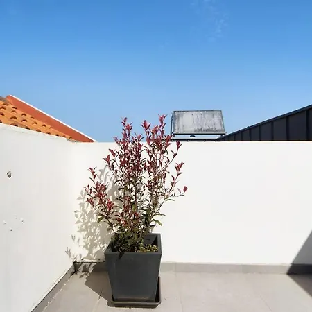 Sao Roque Sweet Burgo Aveiro