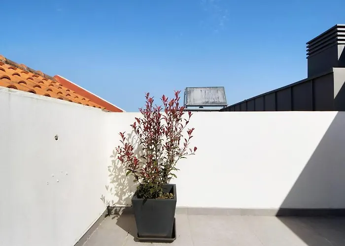 Sao Roque Sweet Burgo 阿威罗